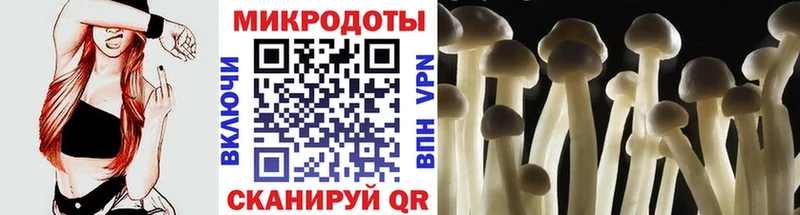 Псилоцибиновые грибы ЛСД  где можно купить наркотик  Заозёрск 