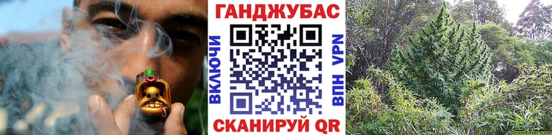 Шишки марихуана White Widow  даркнет сайт  кракен ссылки  Заозёрск 